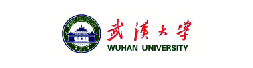 武汉大学